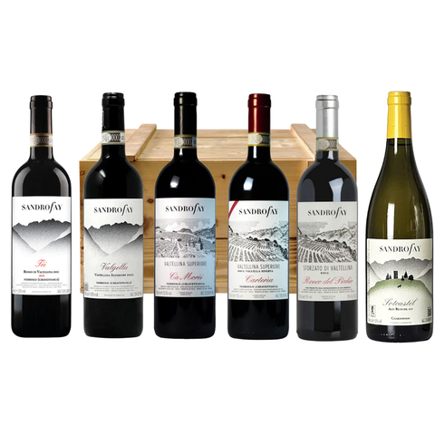 Bundle Sandro Fay 2.0